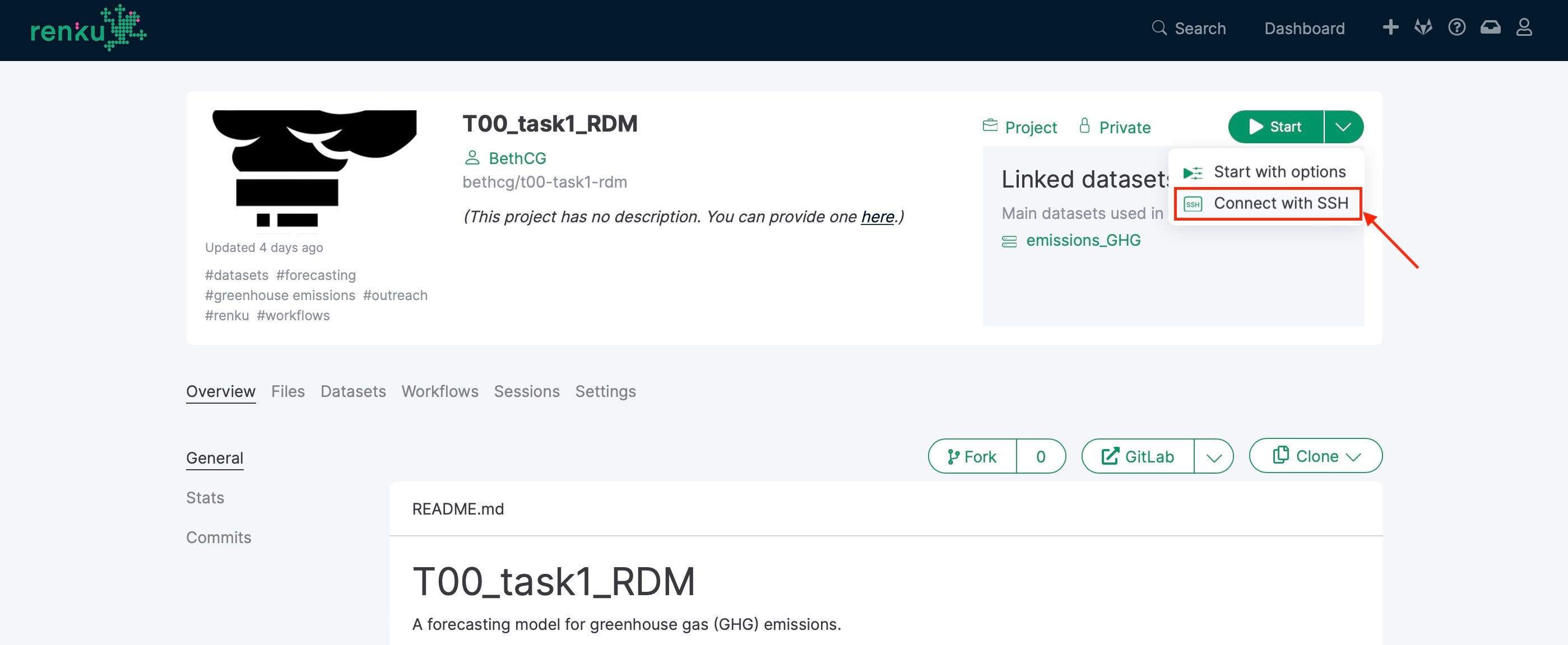 Click on Start/Connect with SSH in the project page to set up a SSH session.
